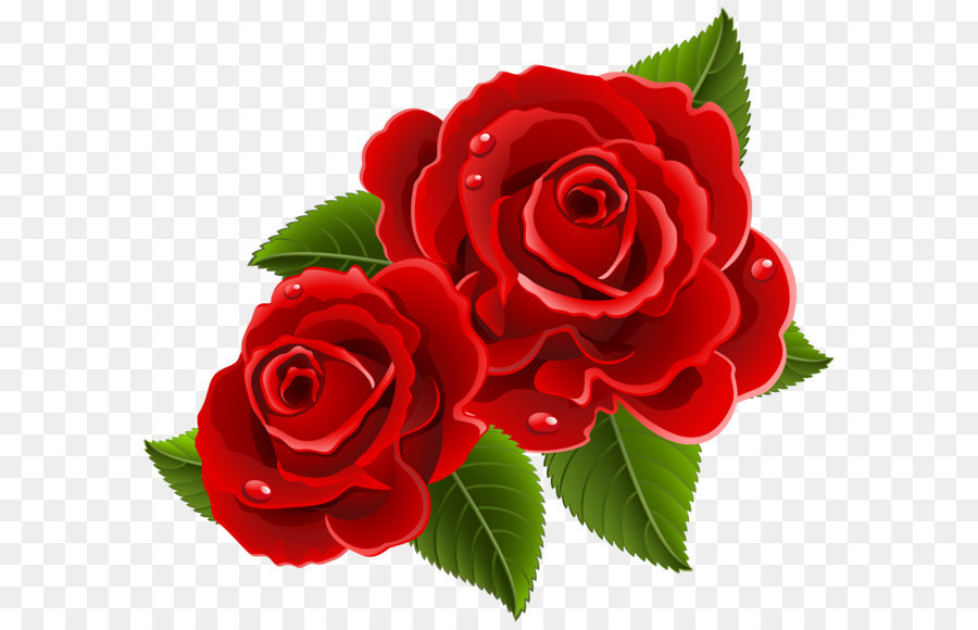 Descargar Corazón de rosa - Día de San Valentín PNG Imagen sin fondo - PNGkey.com Corazón de rosa - Vector de día de San Valentín
