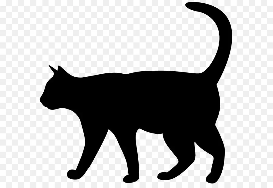 แมว，สีดำ แมว PNG