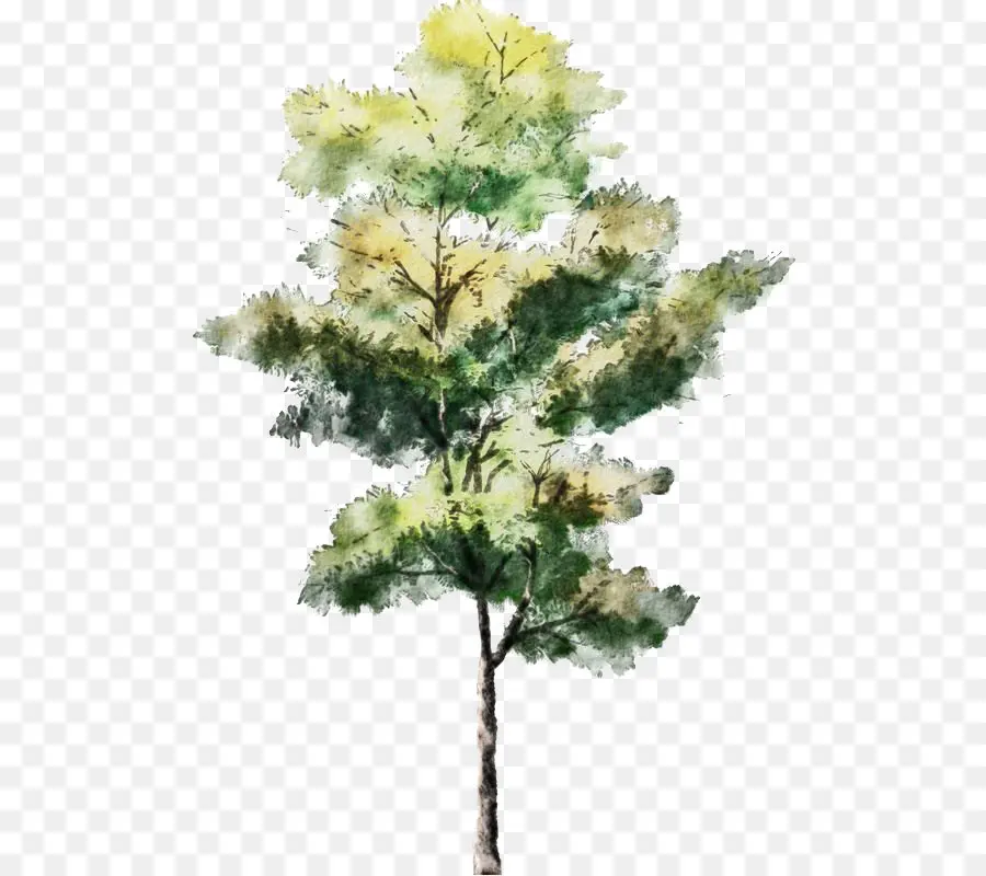 สีปัดเกลี่ยภาพ，ต้นไม้ PNG