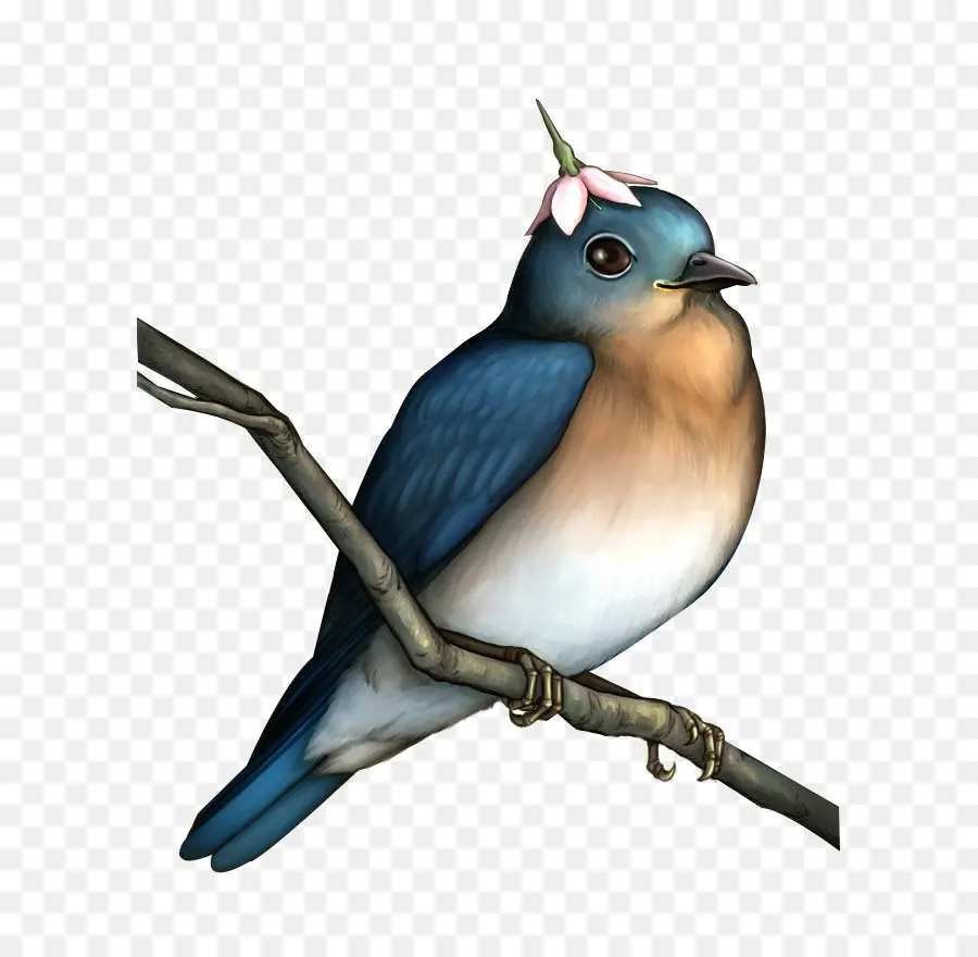 นก，Songbird PNG