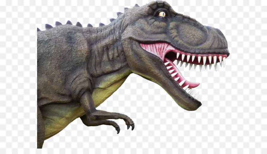 T Rex，ฟัน PNG