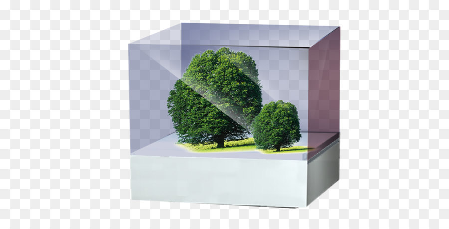 ต้นไม้，กล่อง PNG