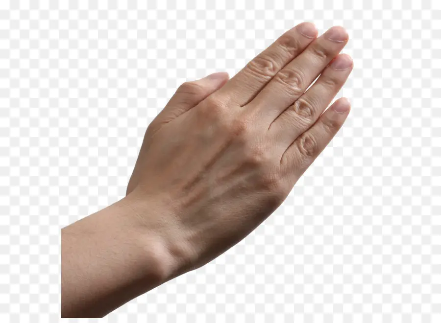 มือ，ท่าทาง PNG