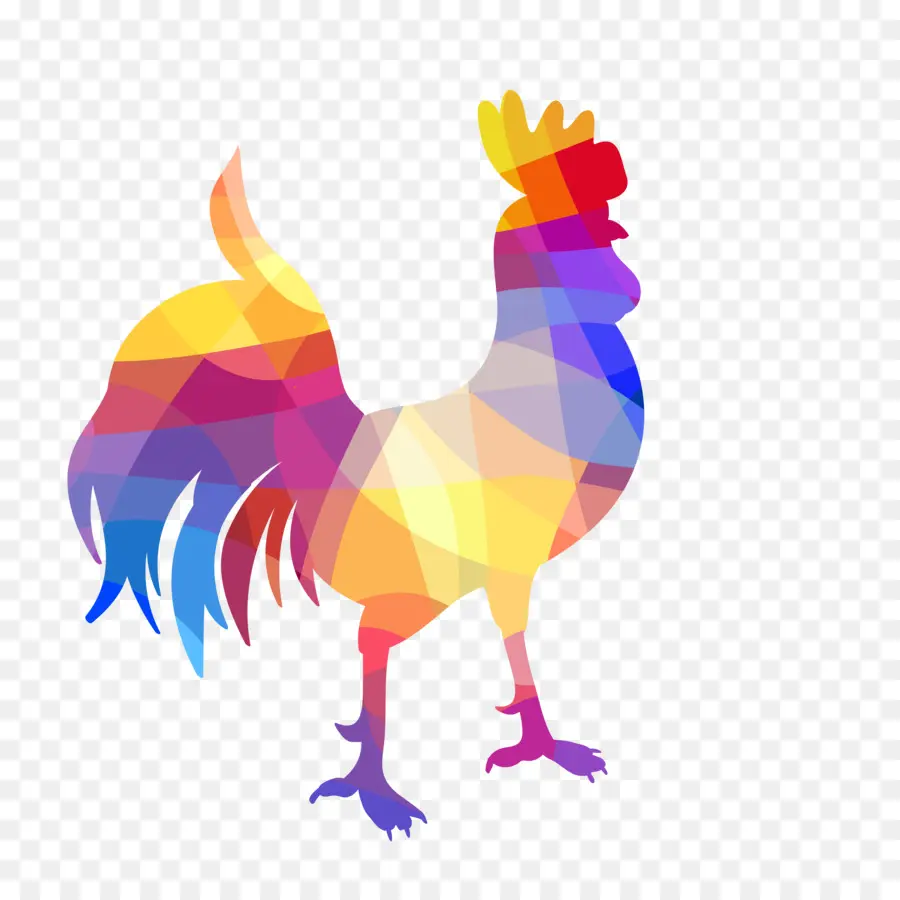 ไก่สีสันสดใส，นก PNG