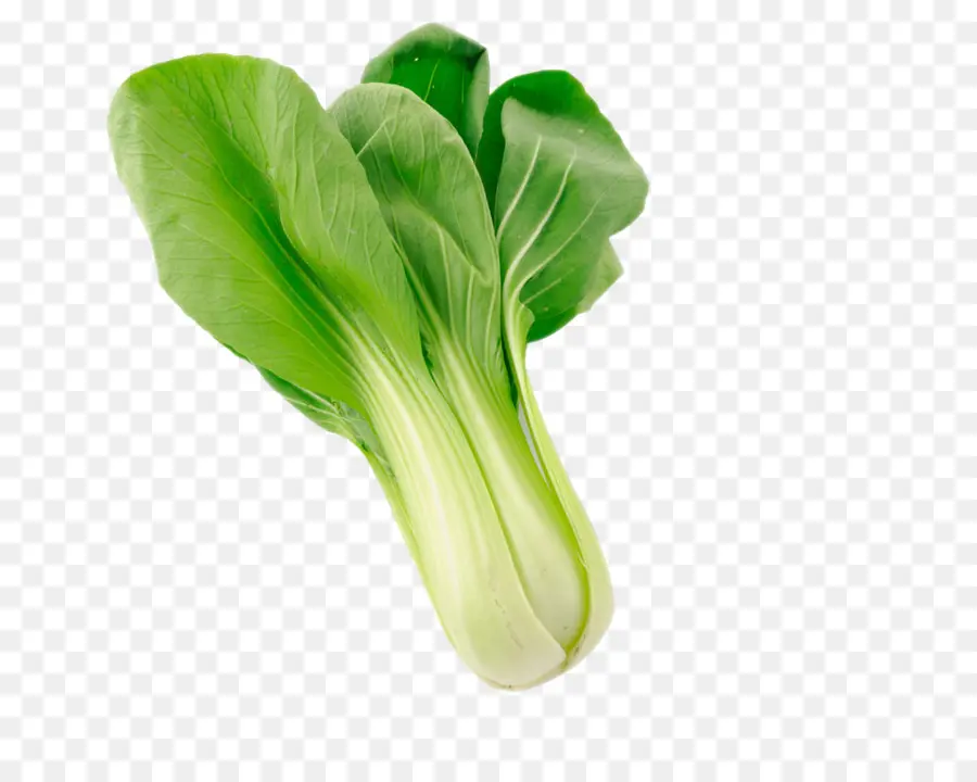 Bok Choy，สีเขียว PNG