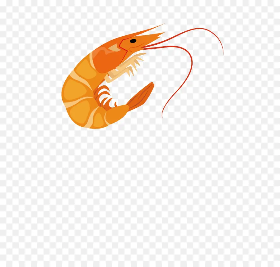 กุ้ง，ส้ม PNG