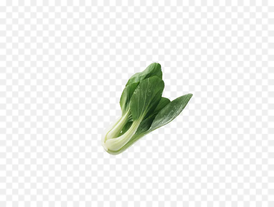 Bok Choy，เป็นใบ PNG