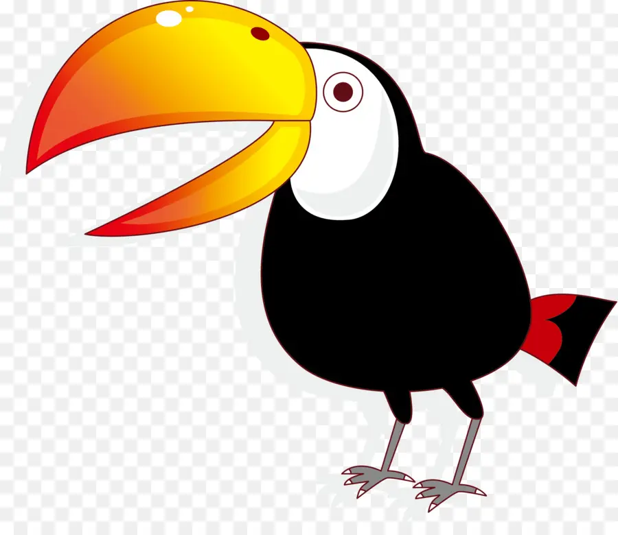 Toucan，จะงอยปาก PNG