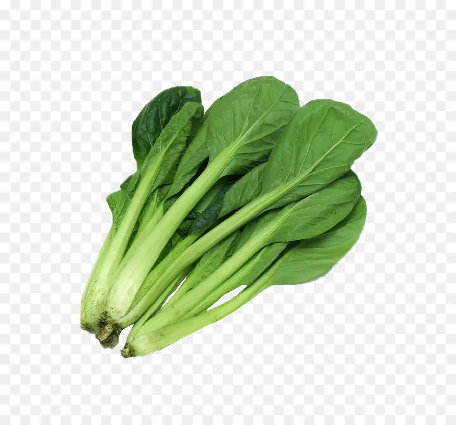 Bok Choy，สีเขียว PNG