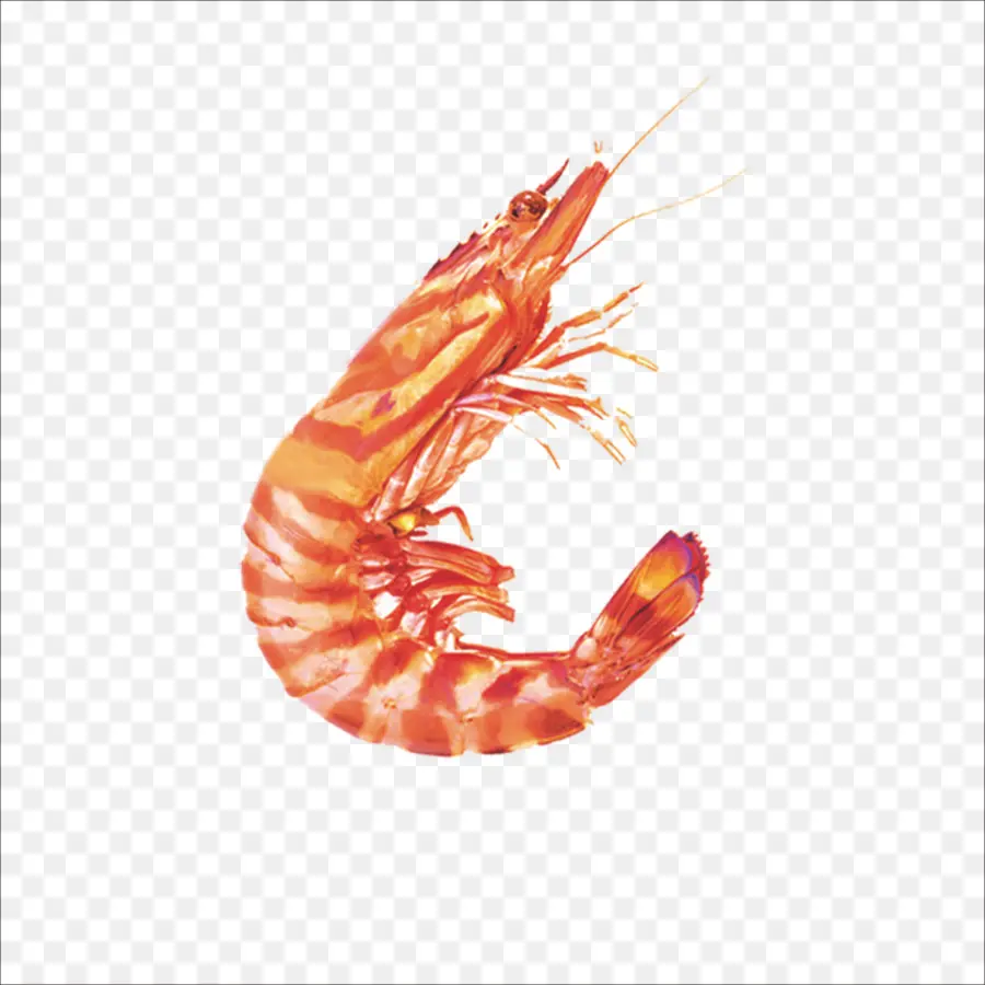 กุ้ง，ส้ม PNG