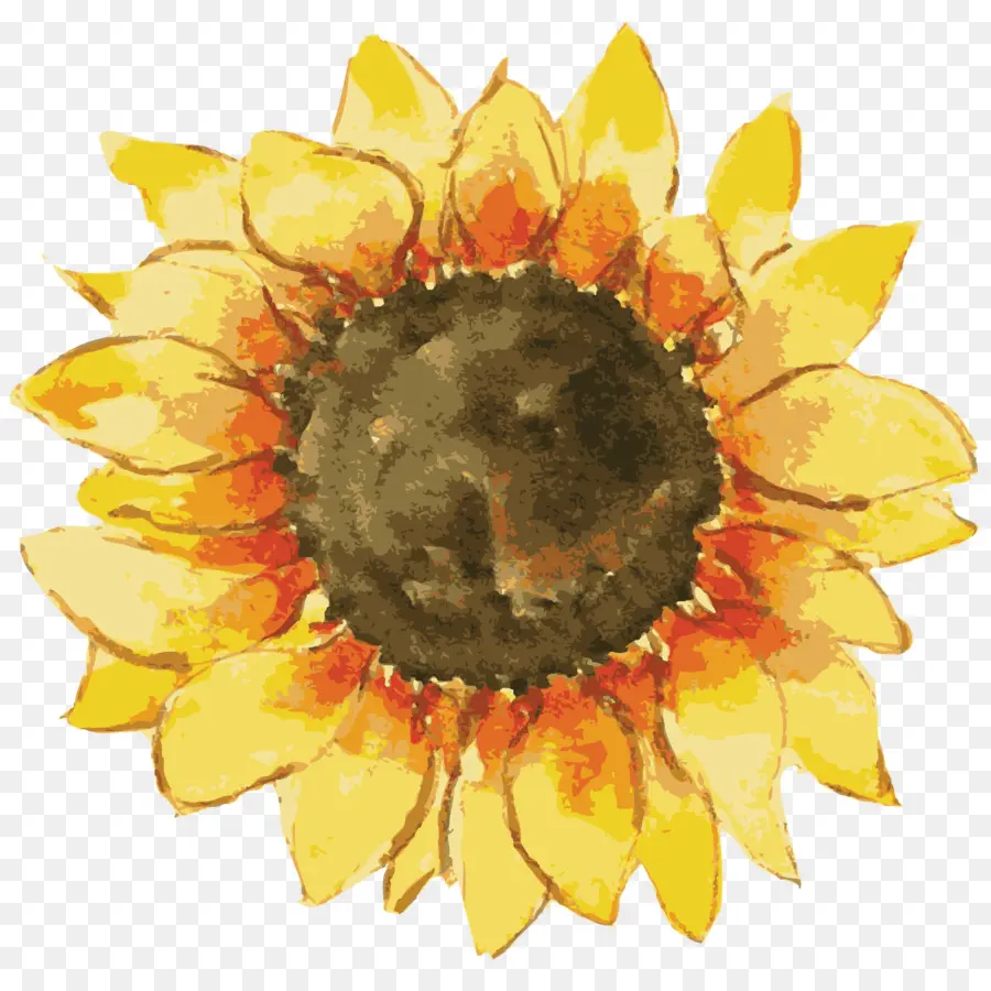 เหมือนกัน Sunflower，ของขวัญ PNG