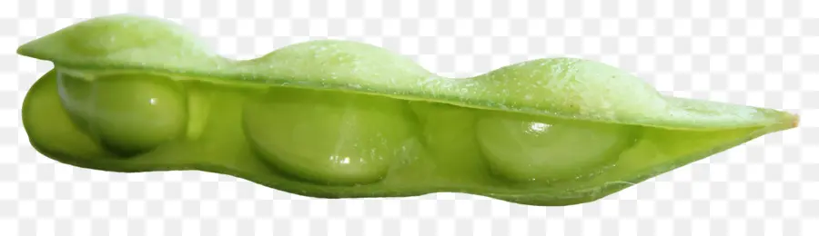 Edamame，ถั่วเหลือง PNG