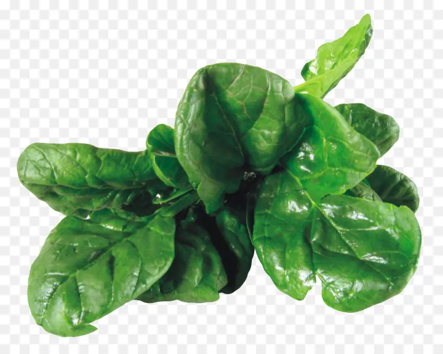 ผัก，Spinach สลัด PNG