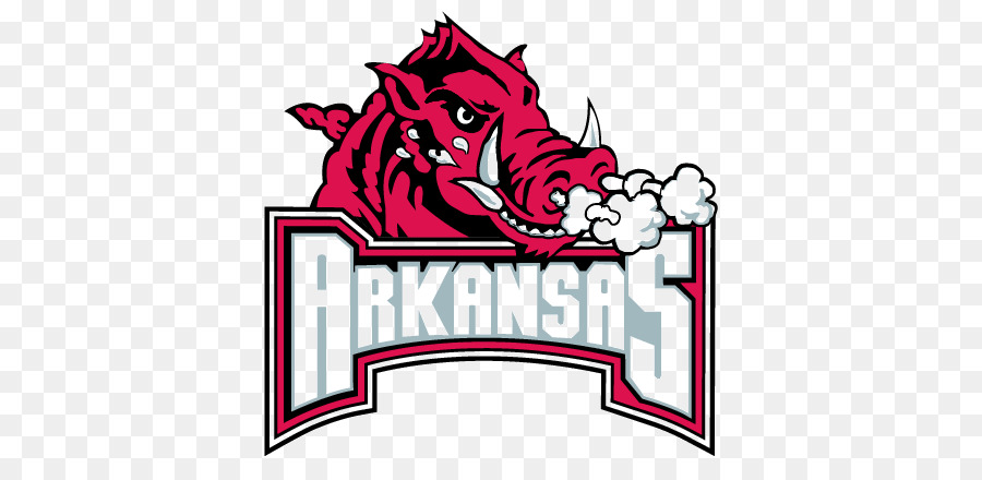 อาร์คันซอ Razorbacks ฟุตบอล, โดนัลด์เรย์โนลด์สนามกีฬา Razorback ...