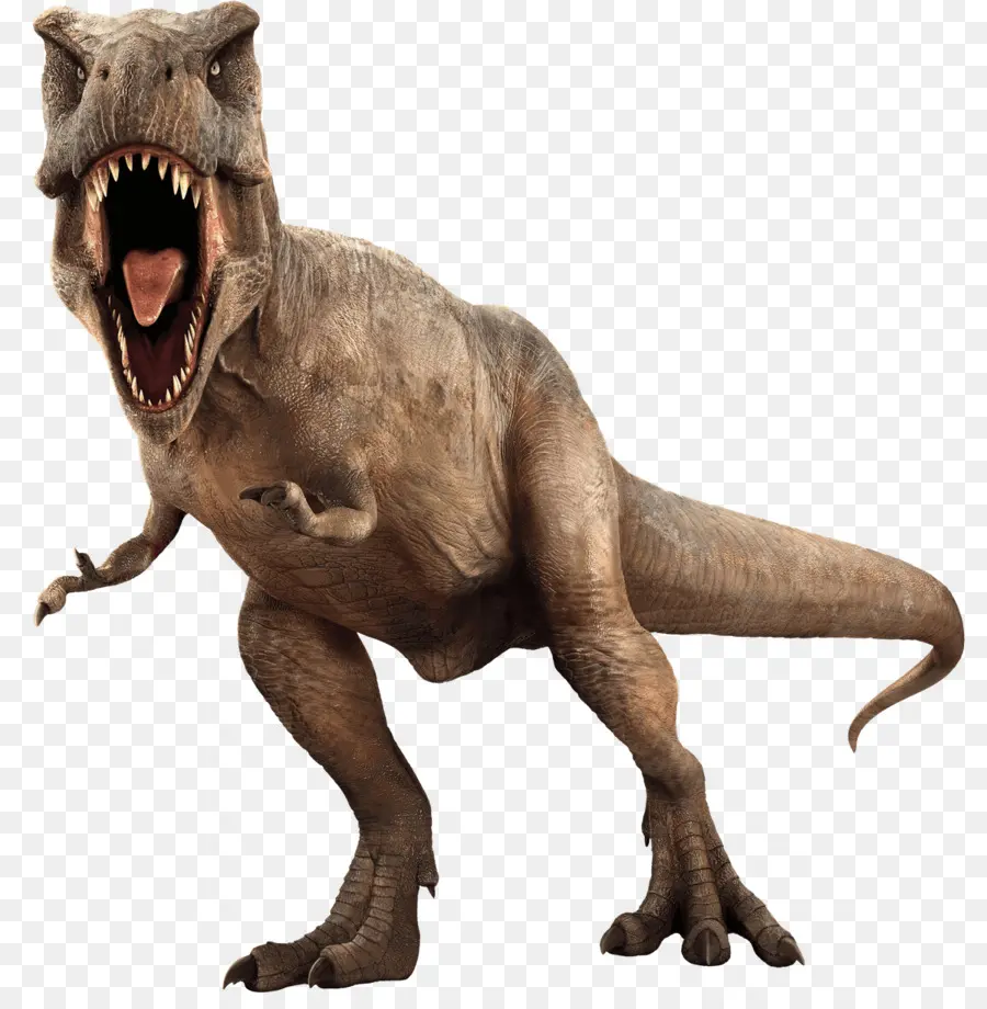 T Rex，ฟัน PNG