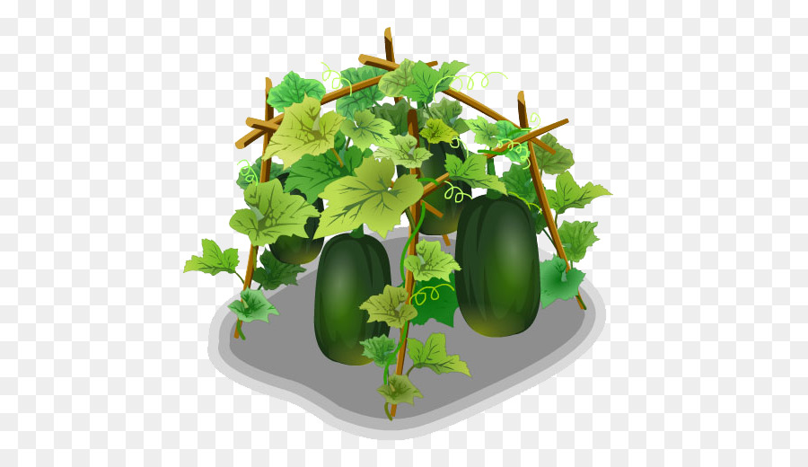 แว๊กซ์ Gourd，แตงโม PNG