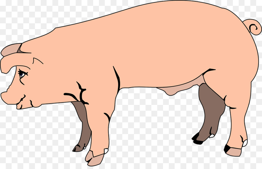 หมูสีชมพู，หมู PNG