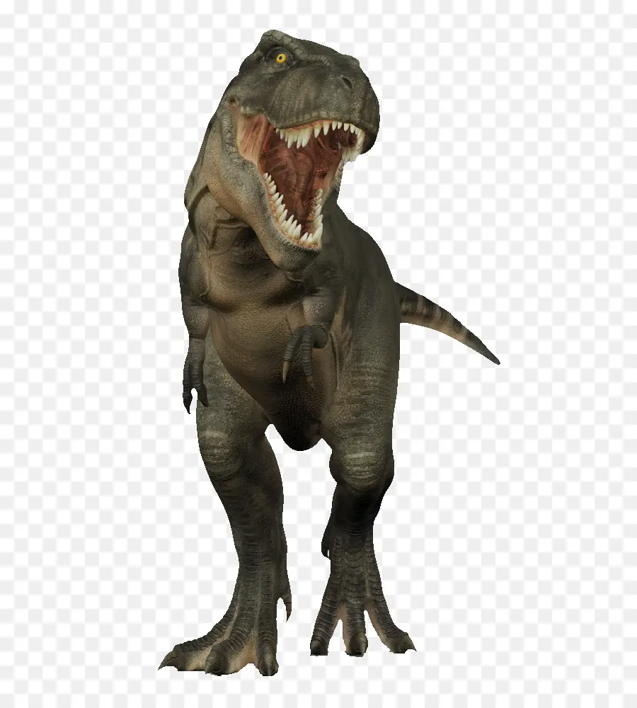 Tyrannosaurus เร็กซ์，ไดโนเสาร์เต่าล้านปี PNG
