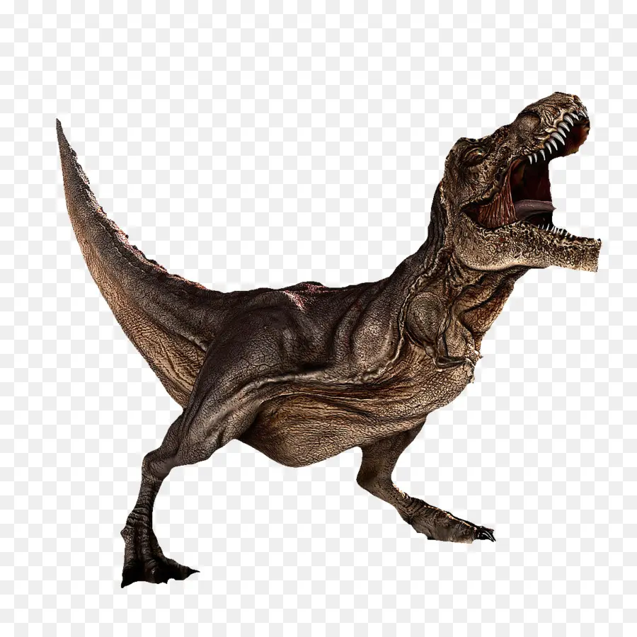 ไดโนเสาร์เต่าล้านปี，Tyrannosaurus เร็กซ์ PNG