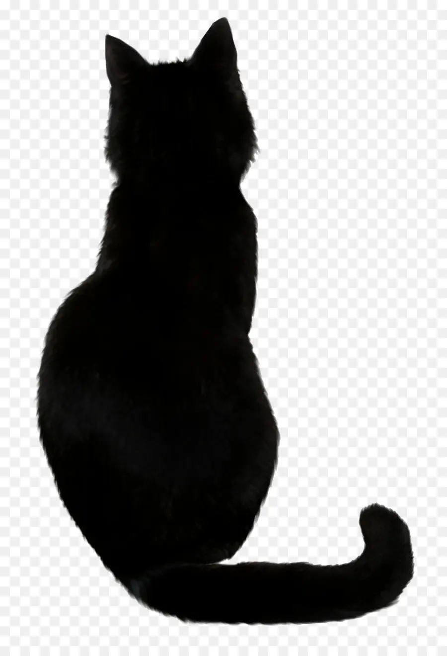 ซาวานน่าแคท，แมวดำ PNG