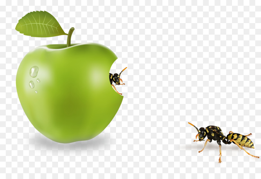 แอปเปิ้ล，แสดงตัวอย่าง PNG