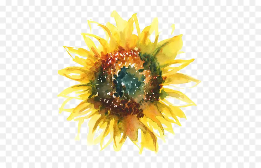 เหมือนกัน Sunflower，ทพ PNG