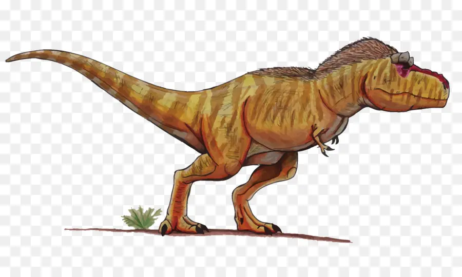 ภาพวาดไดโนเสาร์，T Rex PNG