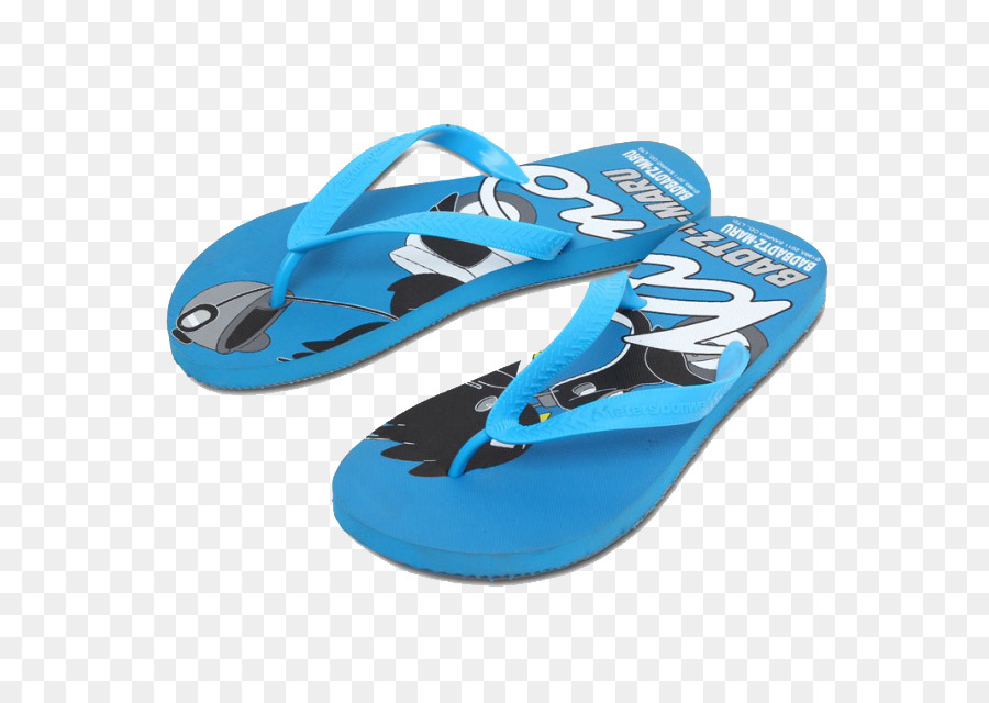 Flipflops，รองเท้า PNG