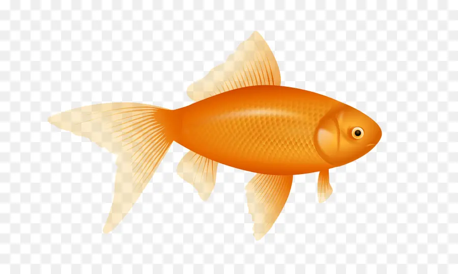 หนึ่งปลาสองปลาสีแดงสีน้ำเงินปลาปลา，ปลา PNG