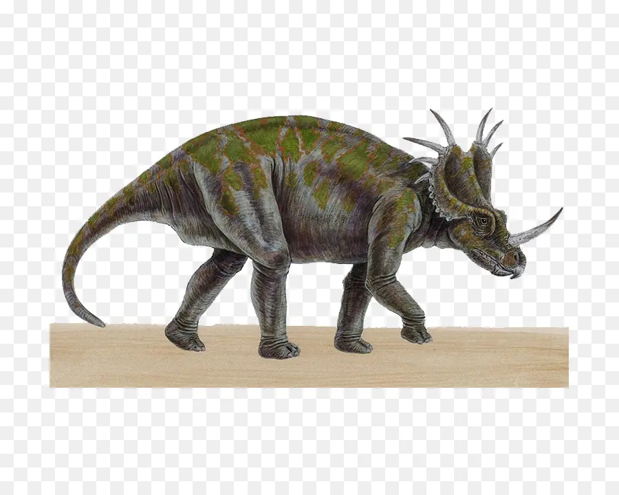 Triceratops，ก่อนประวัติศาสตร์ PNG