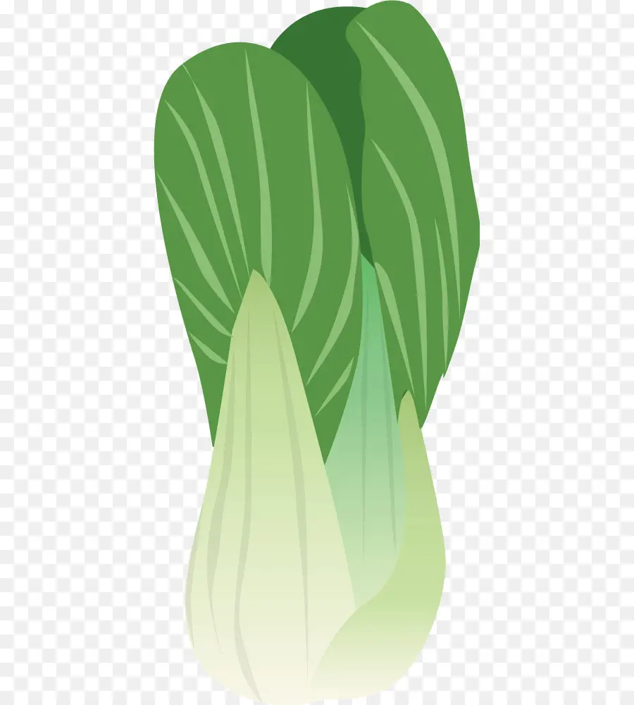 Bok Choy，สีเขียว PNG