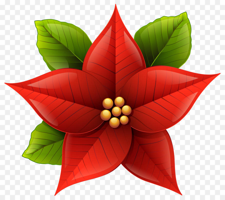 poinsettia-png-png-poinsettia