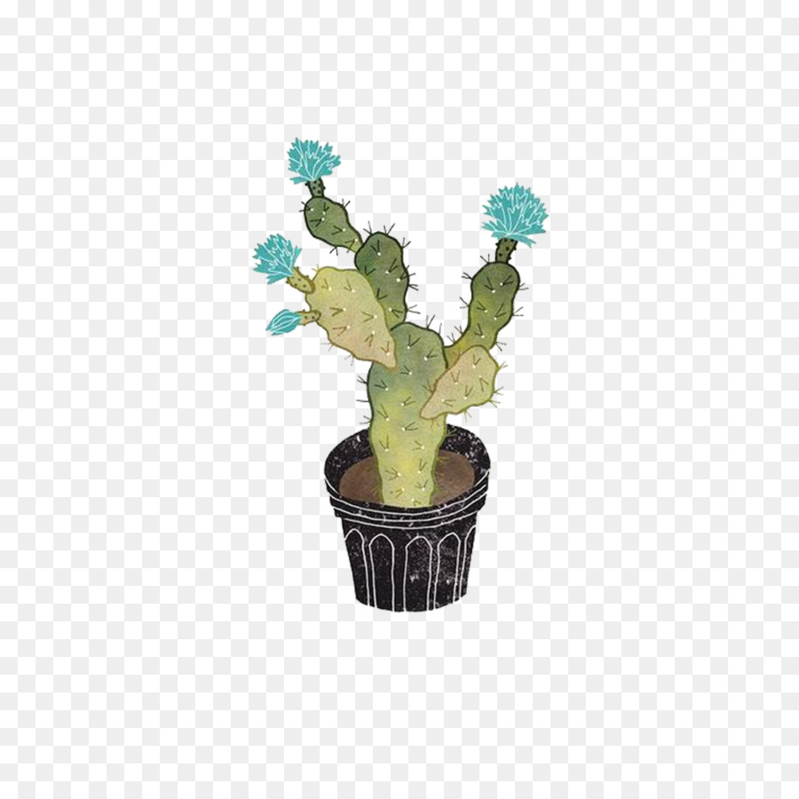 Cactaceae，ต้นไม้ PNG