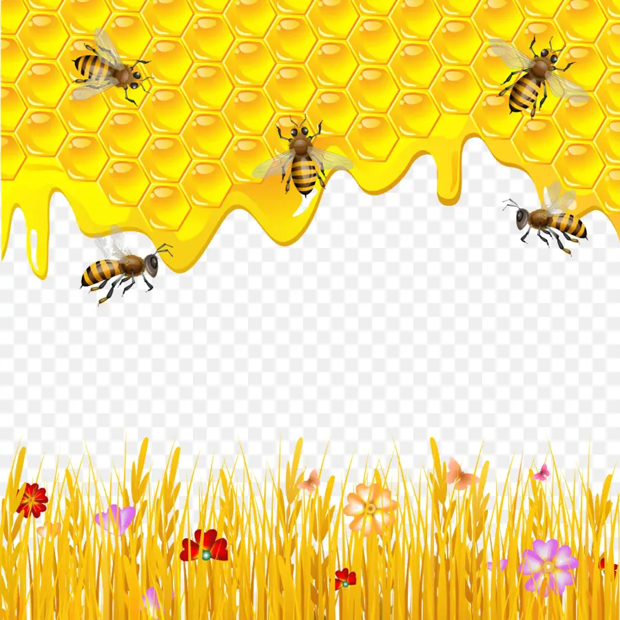 ตะวันตกที่ผึ้ง，บี PNG