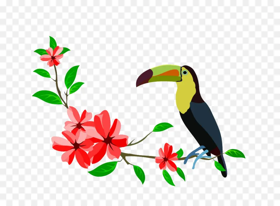 Toucan，ดอกไม้ PNG