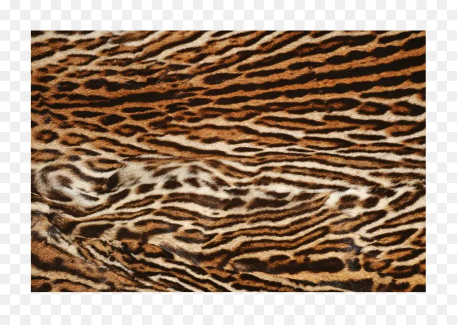 ขน Tiger Fur，ลวดลาย PNG