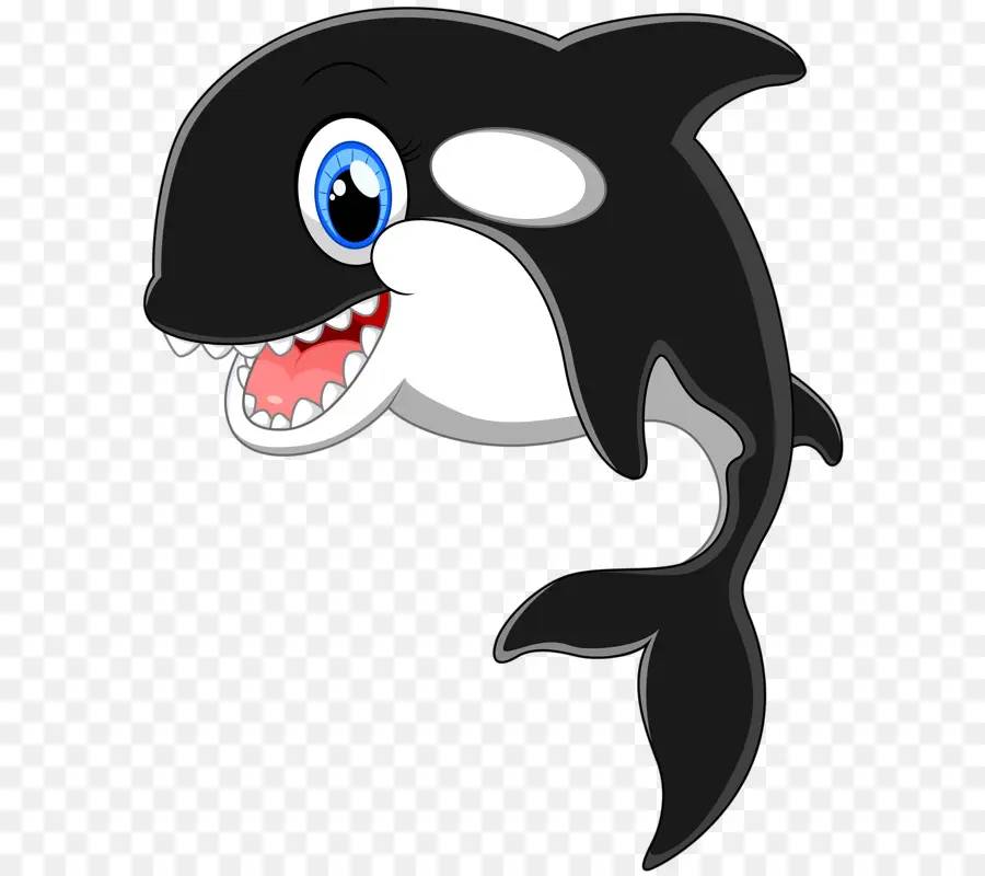 วาฬการ์ตูน，Orca PNG