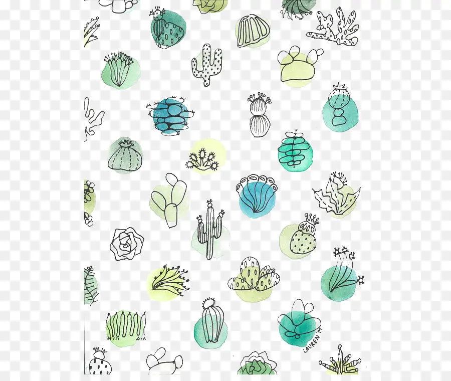 Cactus Doodles，พืช PNG