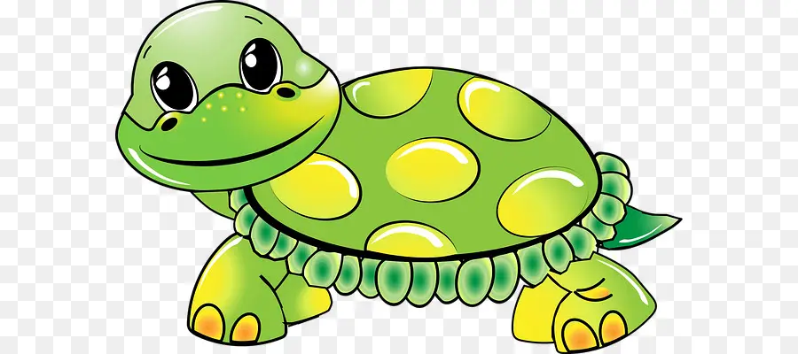 เต่า，เต่าทะเลสีเขียว PNG