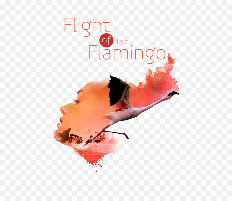 เที่ยวบินของ Flamingo，ออกแบบกราฟิ PNG