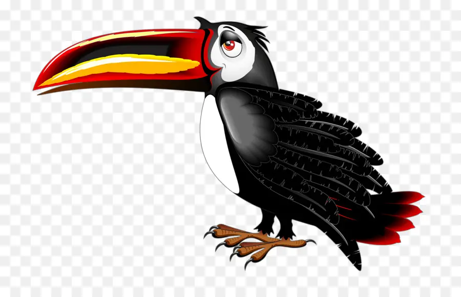 Toucan，นก PNG