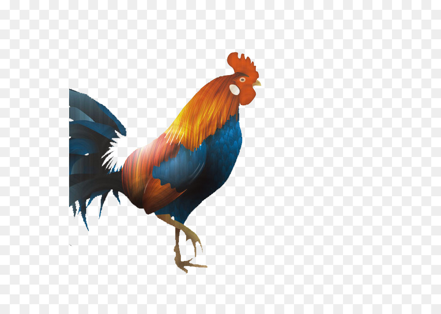 ไก่สีสันสดใส，นก PNG