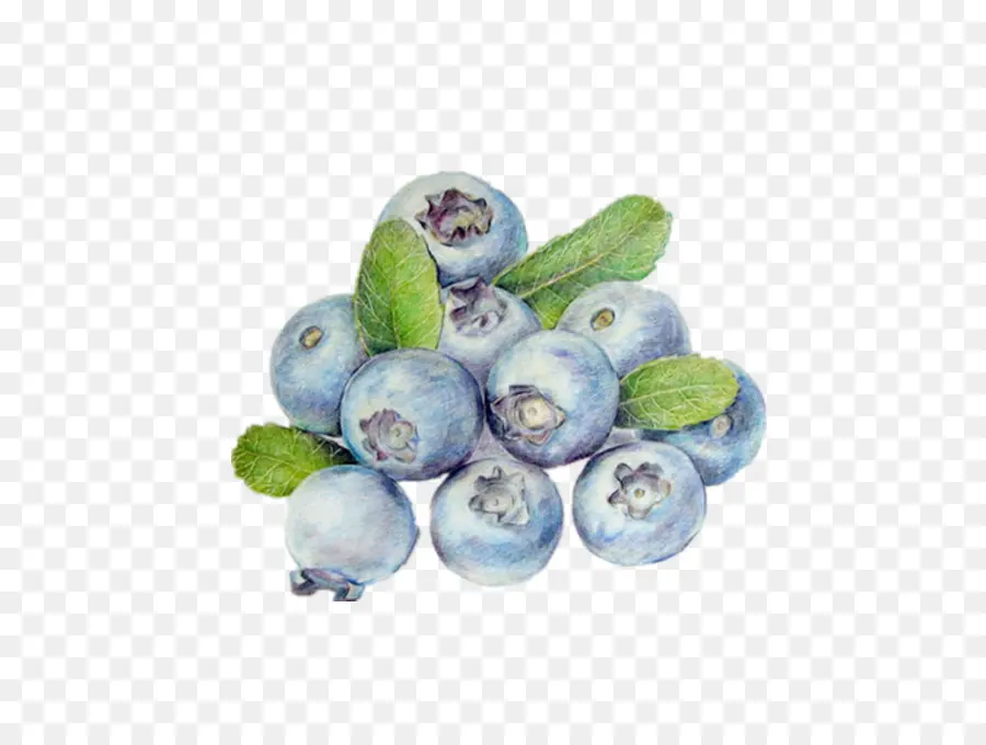 Bilberry，บลูเบอร์รี่ PNG