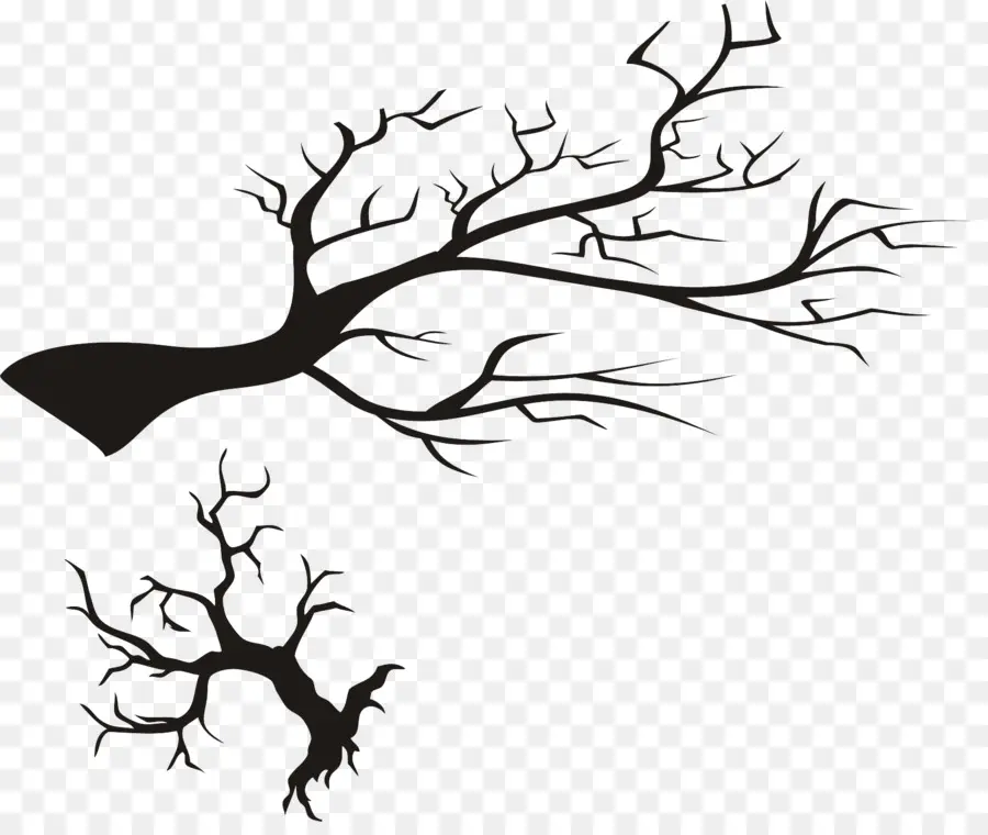 Baobab Tree Silhouette，ต้นไม้ PNG