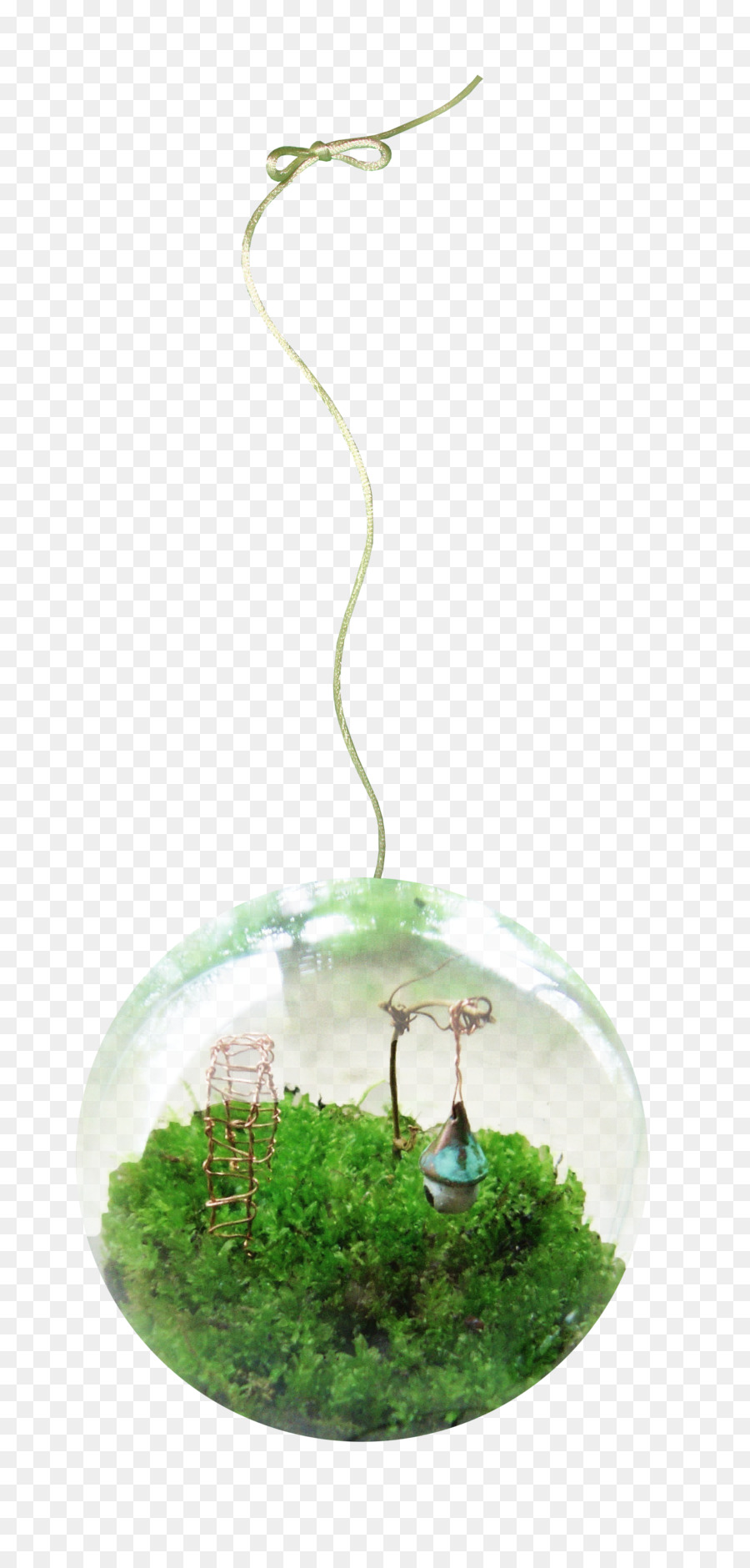 Terrarium，กระจก PNG