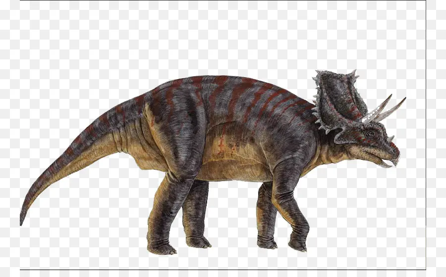 Triceratops，ก่อนประวัติศาสตร์ PNG