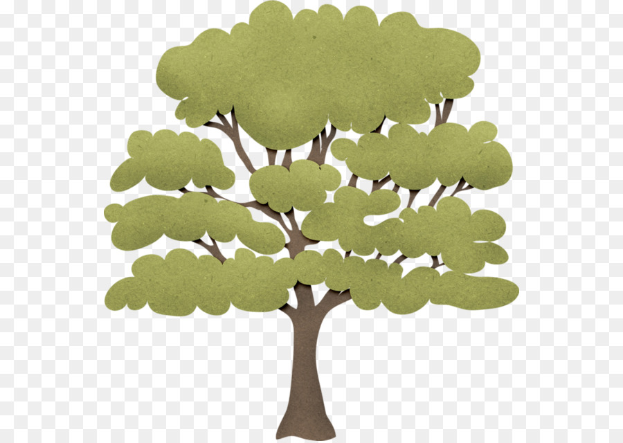 ต้นไม้，แบรนซ์ PNG