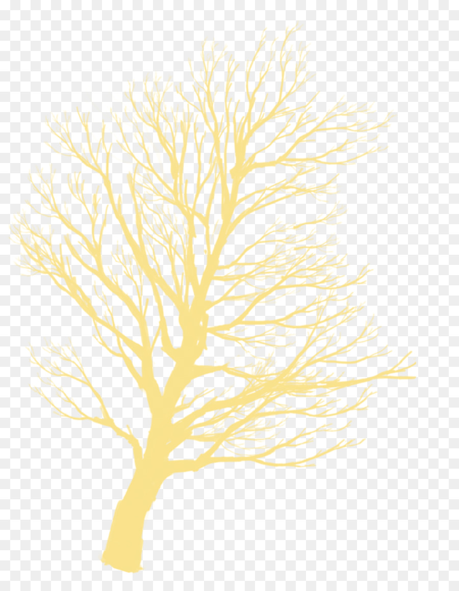 ต้นไม้，เงา PNG