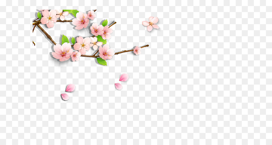 เชอร์รี่ Blossom，สี PNG