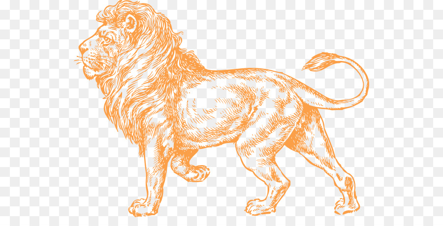 Lionhead กระต่าย，สิงโต PNG